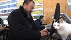 Ai Weiwei: Never Sorry