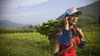 Two young women take very different paths to help keep their family out of poverty in China.