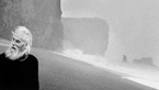 Last Days of the Arctic
