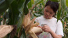 Qin helps grandmom with farm work.